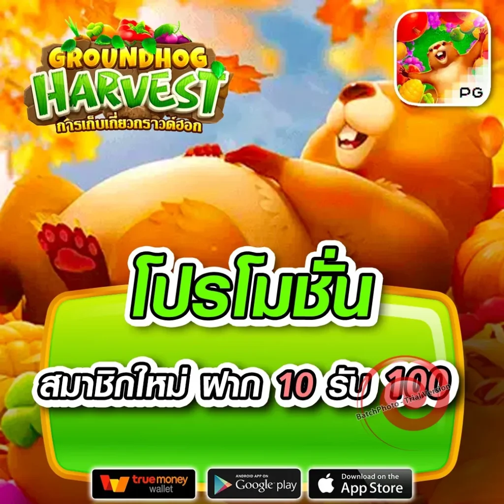 FLIX 88 thai